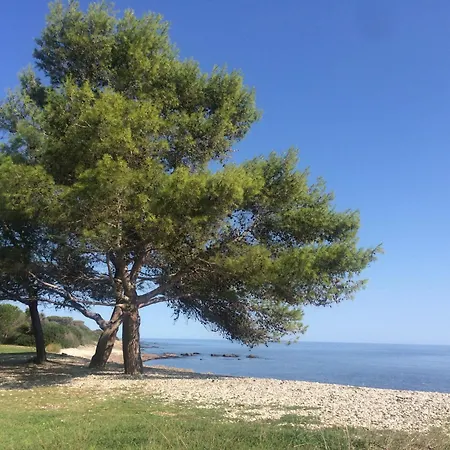 Dommo E Mare *