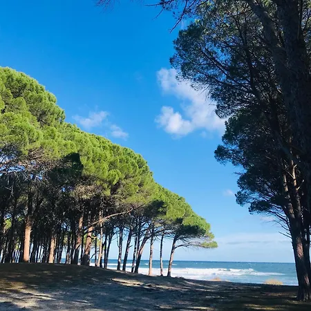Dommo E Mare
