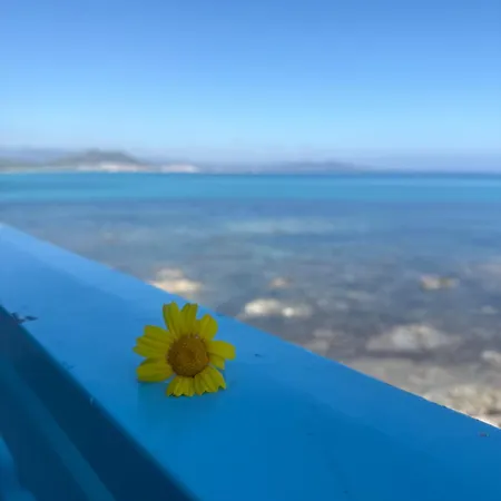 Casa vacanze Dommo E Mare *